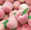 NSFW Yume